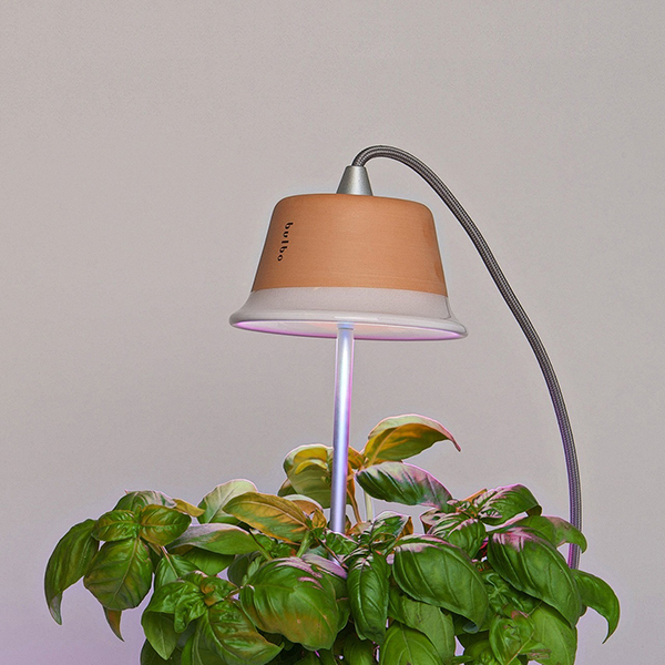Bulbo, lampade LED per piante
